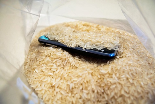 rice method for fixing wet cell phone